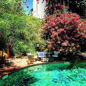 Otel El Vino &